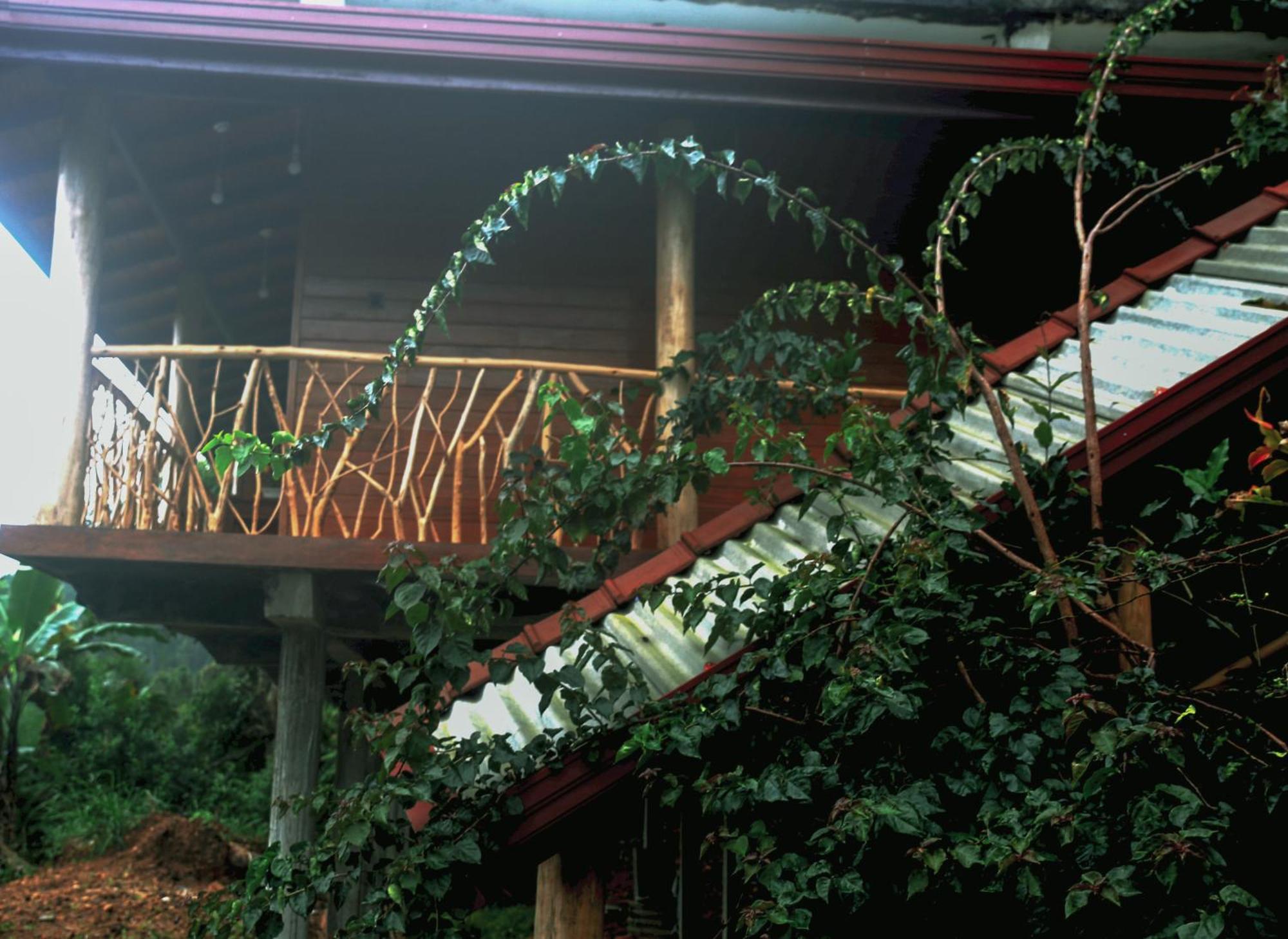 The Dream Inn Ella Exterior photo